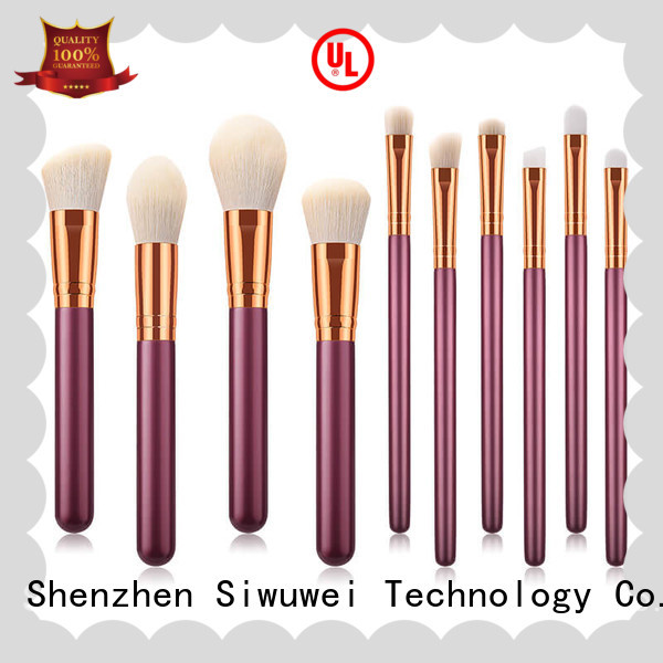 Top types of makeup brushes Supply for women