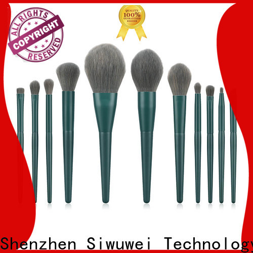 GLEAMUSE Wholesale oval makeup brush set uk Suppliers for women