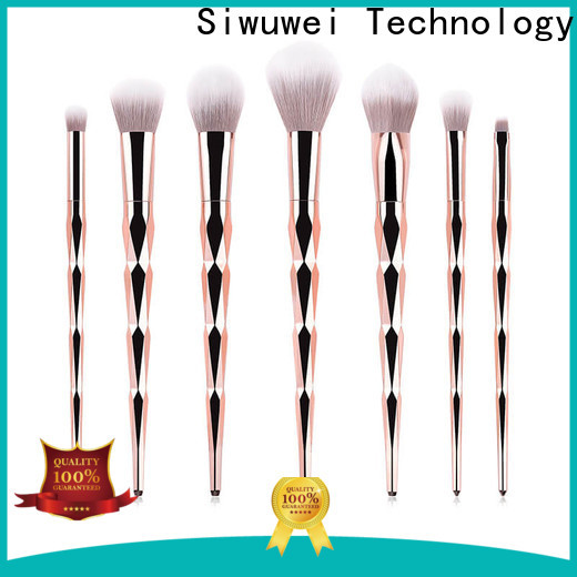 GLEAMUSE High-quality makeup brush deals Suppliers used for face painting