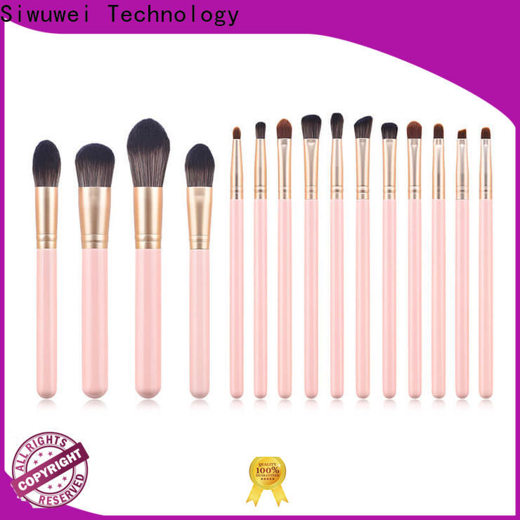 Best proper makeup brushes for business for Beauty shop