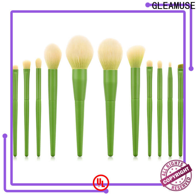 Wholesale giant makeup brush set for business used for face painting