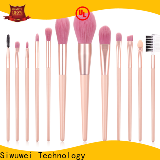 GLEAMUSE professional eyeshadow brush set factory used for face painting