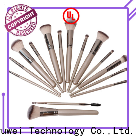 GLEAMUSE Best cheap face brush sets Supply used for face painting