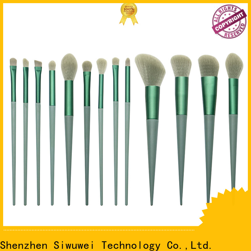 GLEAMUSE Wholesale complete brush set for business for women