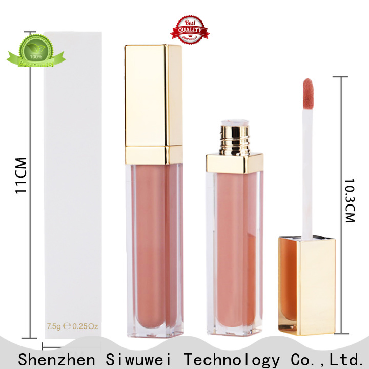 Latest homemade lip gloss for business for women